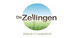 Manager Zorg Thuis (MT lid)